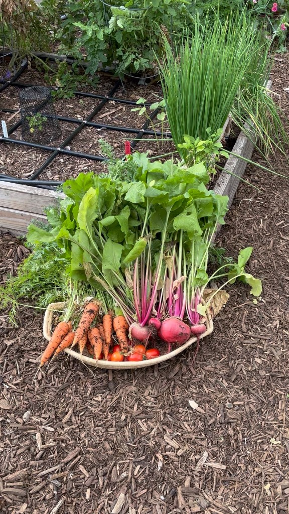 Professional Gardening Consultation
