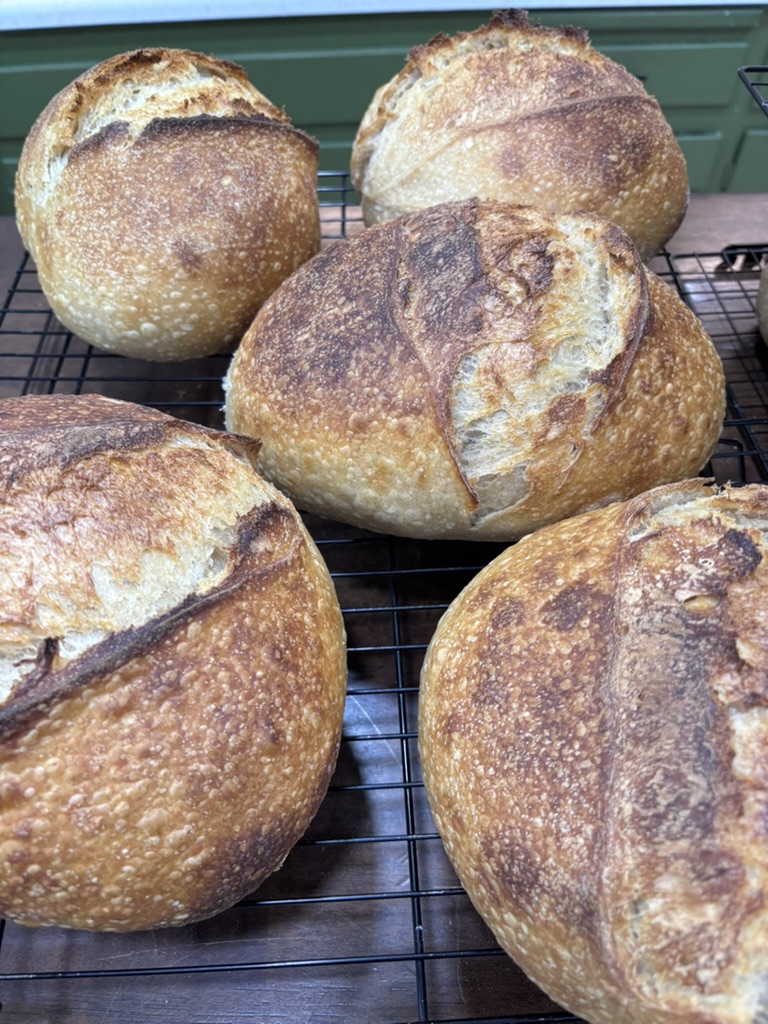 Sourdough Bread
